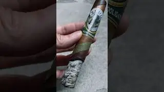 Smoking The Alec Bradley Shamrock Filthy Hooligan Cigar #cigar #cigarstyle #cigartime #cigarsociety