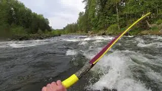 Sandy River Kayaking - Revenue Bridge to Dodge Park - 1550cfs (5/5/21)
