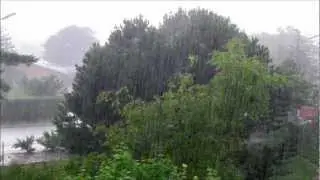 Sonido de lluvia real muy Relajante