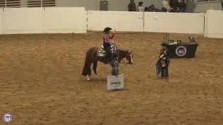 2025 Quarter Horse Congress 3yo Limited Open Western Pleasure Pasley Mathis na Miss Goodlookin