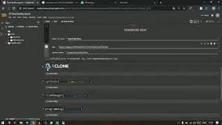 How to Transfer Mega.nz to Google Drive Via Colab