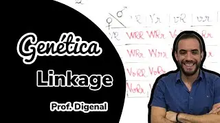 Genética - Linkage