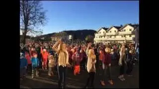 BlimE 2015 Orkanger barneskole