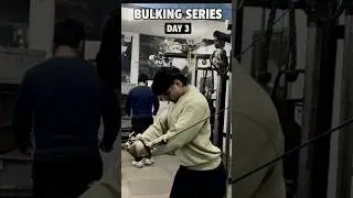 Bulking Series&rsquo;s Day 3