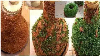 الزراعة على الفخارمنضر راءع لقلوشة شرب الماء بحبة الرشاد😍😍👍