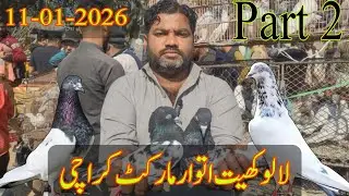 Lalukhet Sunday Market Karachi | 11-01-2026 Latest Update  | Lalukhet Bird Market 2026 Latest Update