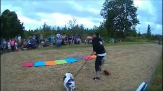 Dem & Ziggy Trixx Performing at Barling Magna Dog Show