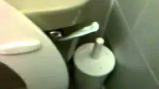 Toilet in the chatsworth hotel