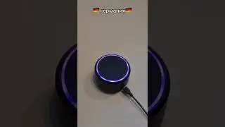 Для заказа Алисы напишите нам в инстаграм @electronics_latvia.#Алиса #приколы #колонка