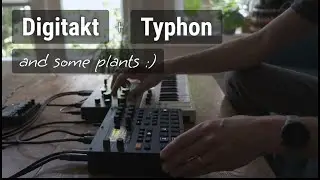 Elektron Digitakt + Typhon + Goldbaby Samples (MPC-MD-Rytm) And Some Plants Of Course | 4K