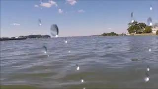 GuardBot Operates In The Ocean