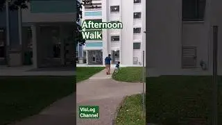 #afternoonwalk