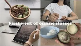 First Week of Online School as a Law Student | desk set up, study vlog