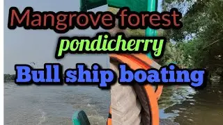 Pondicherry mangrove forest boating Bullship boating