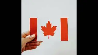 Why is Canada struggling to retain highly-skilled immigrants?