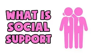 What is Social Support | Explained in 2 min