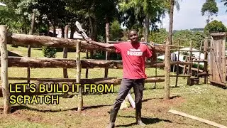 Building a Low-Cost Cattle Crush from Scratch // Step by Step 