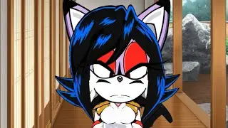 Вселенная Super Sonic X / Ёж Сильвер - День с Сильвером