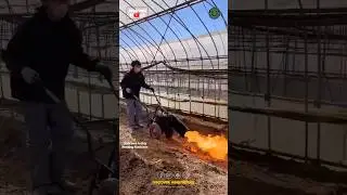 Fire Weeding Machine 🔥