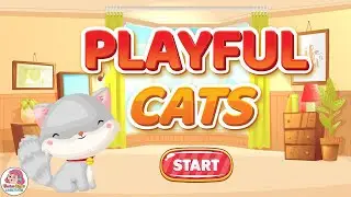 CAT Theme Editable PowerPoint Game Template