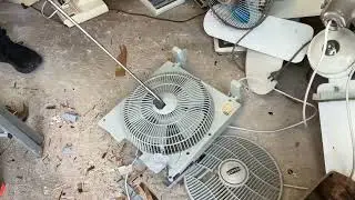 Smash 2013 Prinetti box fan