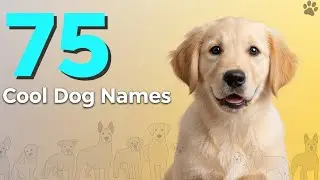 75 крутых имен для собак 🐶✨ (Найдите идеальное имя для своего щенка!)
