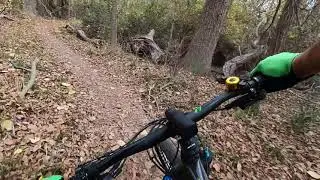 Harry Moss MTB Trail : Explroring Texas MTB Trails