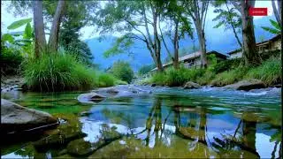 Relax, Let Go, Sleep &mdash; Calming Piano & River Sounds | 10 Hours