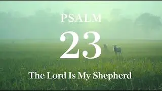 Psalm 23 &ndash; God&rsquo;s Comfort, Peace & Rest | Peaceful Scripture Audio (KJV)