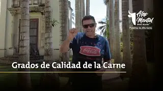 Grados de Calida de la Carne - Alex Montiel Meat Master