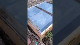 CHEAP CHEAP CHEAP cold frame built in 45 minutes! #shorts #fallgardening #gardenlife #herbs