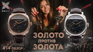 Золото против Золота (PAM503 против PAM497) | 316 Watch обзор