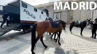 Travel destination Madrid Spanish Police Prepares Horses - Royal Palace of Madrid