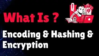 Encoding vs Encryption vs Hashing - What's the Difference?