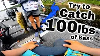 Попытаемся поймать 100 фунтов окуня на озере Галл! (Приз за рыбалку 13 000 долларов)