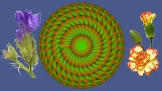 BLENDER BLD065 INTRODU&Ccedil;&Atilde;O AOS NODES Wave Texture e Geometry
