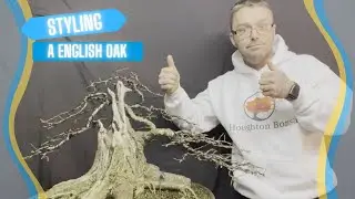 Styling an English Oak (Jan 2022)