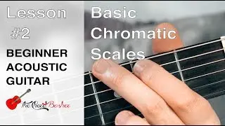 Beginner Guitar Chromatic Scale // Lesson 2 // Beginner Guitar Lesson
