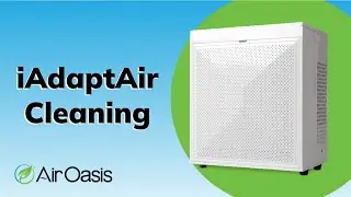 How to Clean the iAdaptAir Purifier | Air Oasis