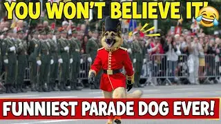 Ultimate K9 Parade Funniest And Most Epic Dog Moments
