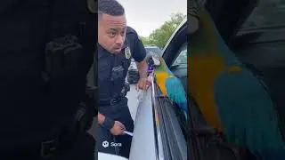 The Funniest Police Interrogation Ever &ndash; With a Parrot! 🦜👮 #funny