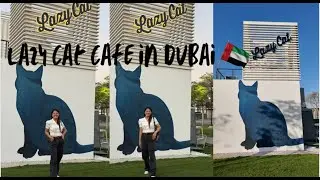 LAZY CAT CAFE IN DUBAI 🇦🇪
