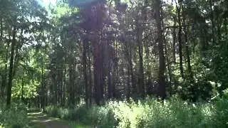 MOV00854