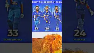 Most 50+ Scores in T20 Cricket | The T20 Masterclass