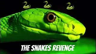 The snakes revenge #paperpuppets #fun #billy #gerold #funny