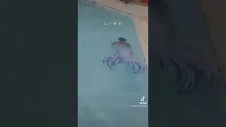 😨🫧🧜&zwj;♀️ #finfun #mermaidlife #mermaiding