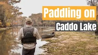 Paddling Caddo Lake in TX! The Cathedral Trail! Fun on Caddo Lake by Rolling with the Halls