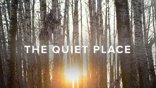 SITKA Films: Тихое место