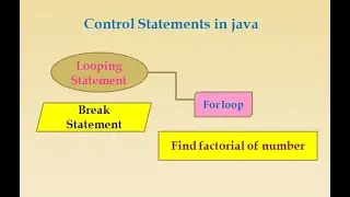 Write a program to find factorial of number.(using for loop)