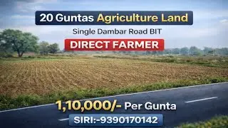 Siri:9390170142||BT Dambar Road BIT||Agriculture land sale||20 Guntas #youtube #farming #realestate